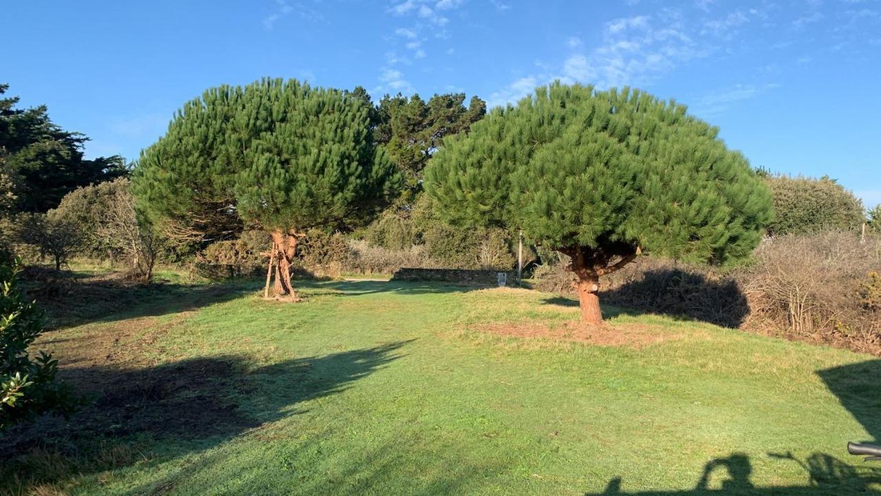 Maison 100 M Plage, 2 Kms Du Port 勒德耶乌 外观 照片